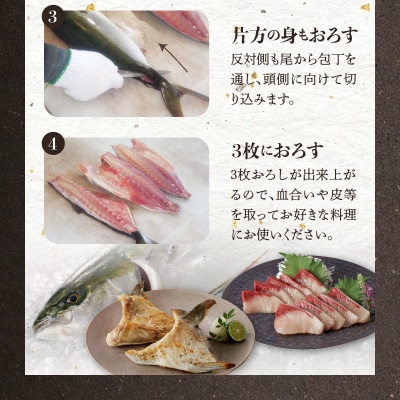 【指定日必須】活じめ!新鮮うまかぶり まるまる1本!(内臓処理済)約3kg_S137-008