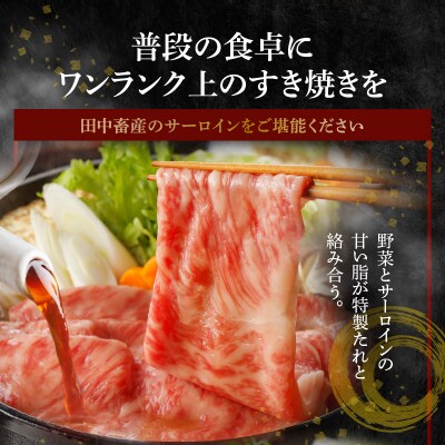 A4～A5等級 黒毛和牛 サーロイン すき焼き用 切り落とし 約600g_S001-032A