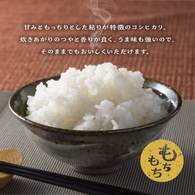 河浦町新合産　コシヒカリ　精米　900g(約6合)_S112-015