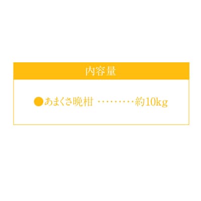 あまくさ晩柑 約10kg【先行受付】_S149-002