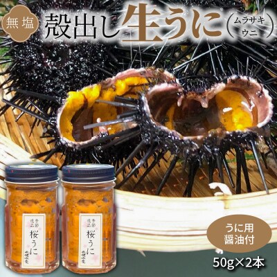 【指定日必須】【先行受付】殻出し生うに(ムラサキウニ)50g×2本 うに用醤油付_S002-022