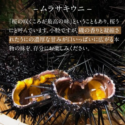 【指定日必須】【先行受付】殻出し生うに(ムラサキウニ)50g×2本 うに用醤油付_S002-022