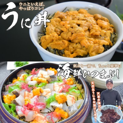 【指定日必須】【先行受付】殻出し生うに(ムラサキウニ)50g×2本 うに用醤油付_S002-022