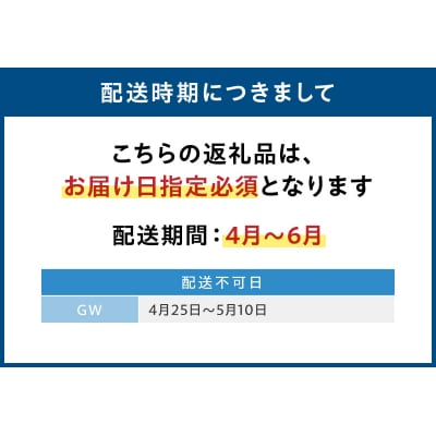 【指定日必須】【先行受付】殻出し生うに(ムラサキウニ)50g×2本 うに用醤油付_S002-022