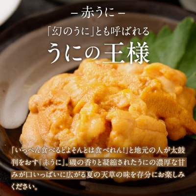 【先行受付・指定日必須】殻出し生うに(赤うに)50g×2本 うに用醤油付_S002-023