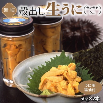 【指定日必須】殻出し生うに(ガンガゼウニ)50g×2本 うに用醤油付_S002-024