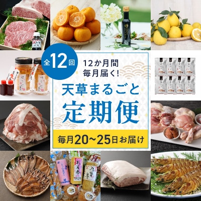 【定期便12回】天草まるごと定期便!12か月間毎月お届け(数量限定!)_S999-T02
