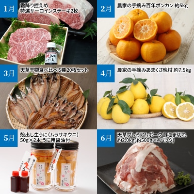 【定期便12回】天草まるごと定期便!12か月間毎月お届け(数量限定!)_S999-T02