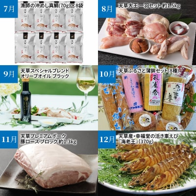 【定期便12回】天草まるごと定期便!12か月間毎月お届け(数量限定!)_S999-T02