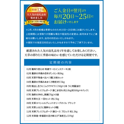 【定期便12回】天草まるごと定期便!12か月間毎月お届け(数量限定!)_S999-T02