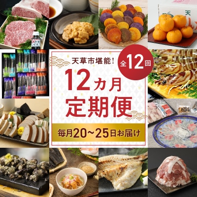 【定期便12回】天草市堪能12ヵ月定期便_S999-T04