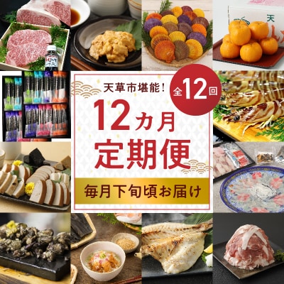 【定期便12回】天草市堪能12ヵ月定期便_S999-T04