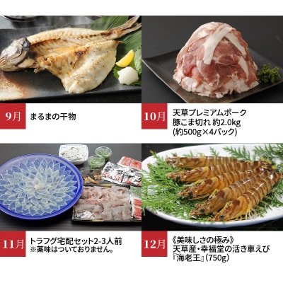 【定期便12回】天草市堪能12ヵ月定期便_S999-T04
