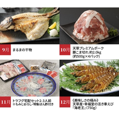 【定期便12回】天草市堪能12ヵ月定期便_S999-T04