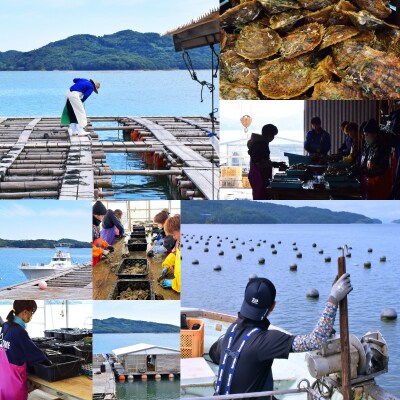 天草産 9-9.5mm あこや真珠 ネックレス アジャスター K18YG_S101-361