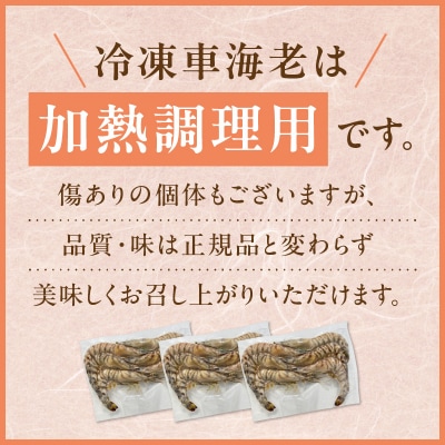 家庭用 Lサイズ 冷凍 車海老(要加熱)750g_S146-002