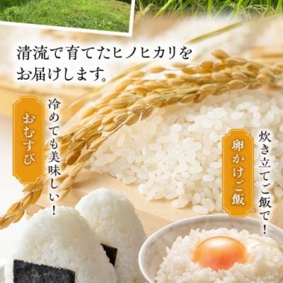 天草方原(ほうばる)産　清流米　ヒノヒカリ　精米5kg【先行受付】_S150-001