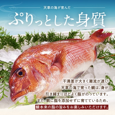 真鯛ごま漬け6食セット_S010-080