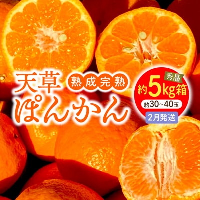 香りを食す!熟成完熟天草ぽんかん 2月発送 約5kg箱 秀品〈先行受付〉_S117-006