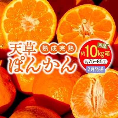 香りを食す!熟成完熟天草ぽんかん 2月発送 約10kg箱 秀品〈先行受付〉_S117-011