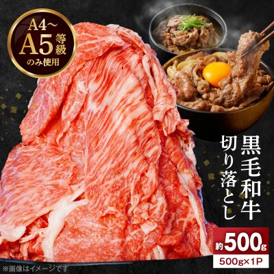 A4～A5等級 黒毛和牛 切り落とし 500g(1P)_S001-033