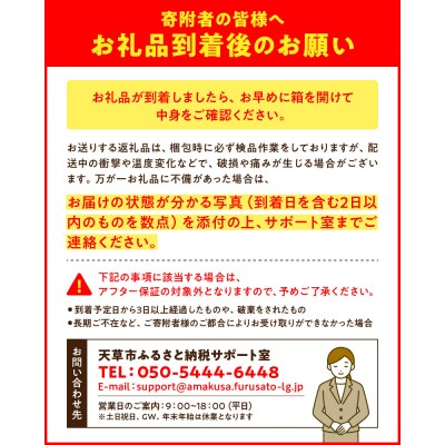 香りを食す!熟成完熟天草ぽんかん 1月発送 約3kg秀品〈先行受付〉_S117-003