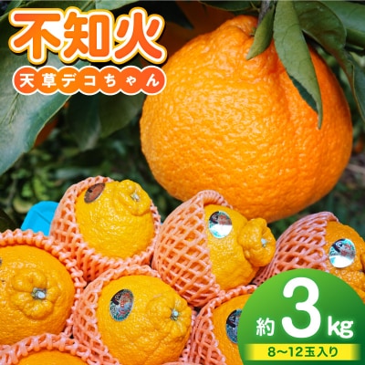 【先行受付】天草産 不知火 約3kg_S153-001