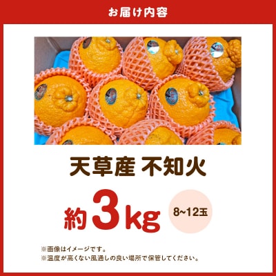 【先行受付】天草産 不知火 約3kg_S153-001