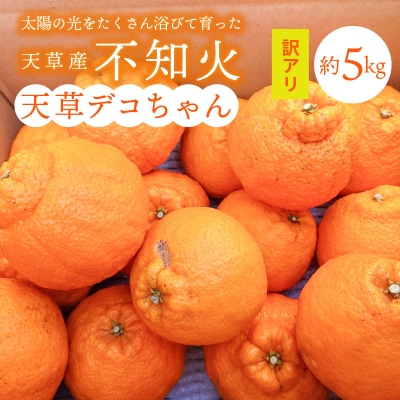 【先行受付】天草産 訳あり 不知火 約5kg_S153-002