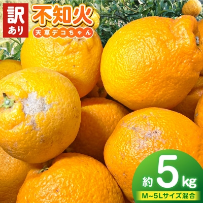 【先行受付】天草産 訳あり 不知火 約5kg_S153-002