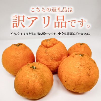 【先行受付】天草産 訳あり 不知火 約5kg_S153-002