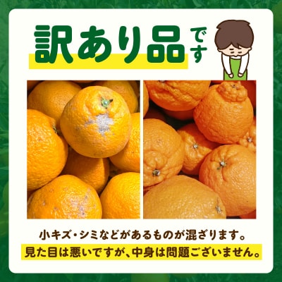 【先行受付】天草産 訳あり 不知火 約5kg_S153-002