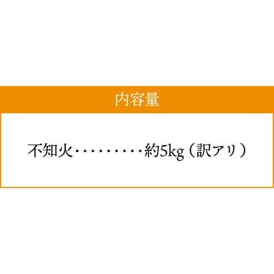 【先行受付】天草産 訳あり 不知火 約5kg_S153-002