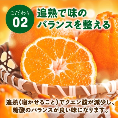 【先行受付】天草産 訳あり 不知火 約5kg_S153-002