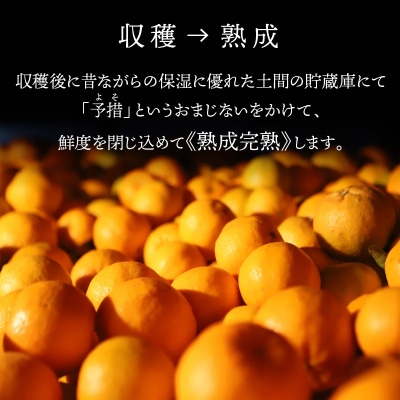 香りを食す!熟成完熟天草ぽんかん 1月限定 特選約5kg(30玉)〈先行受付〉_S117-007