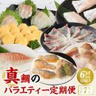 【定期便6回】真鯛のバラエティー定期便_S106-T01