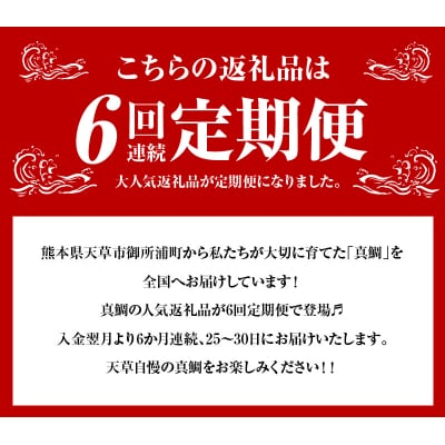【定期便6回】真鯛のバラエティー定期便_S106-T01