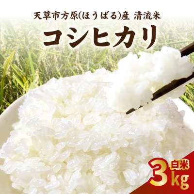 天草市方原産　白米(コシヒカリ)3キロ【先行受付】_S150-002