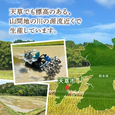 天草市方原産　白米(コシヒカリ)5キロ【先行受付】_S150-003