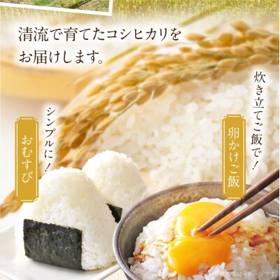 天草市方原産　白米(コシヒカリ)5キロ【先行受付】_S150-003