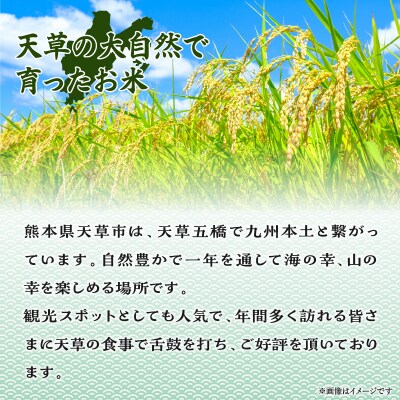ととの美味しいお米　5kg_S156-002
