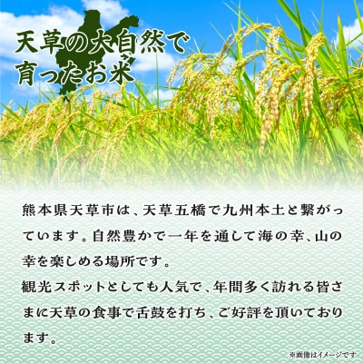 ととの美味しいお米　2合(300g)_S156-003