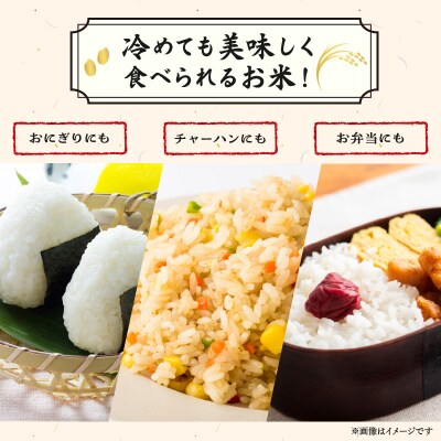 ととの美味しいお米　2合(300g)_S156-003