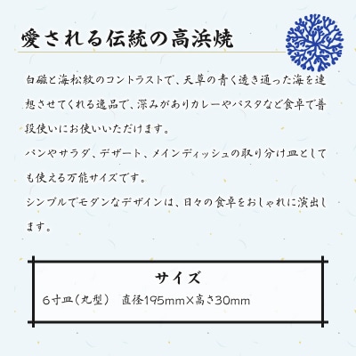 高浜焼寿芳窯　復刻デザイン皿(6寸皿)2個セット_S026-019