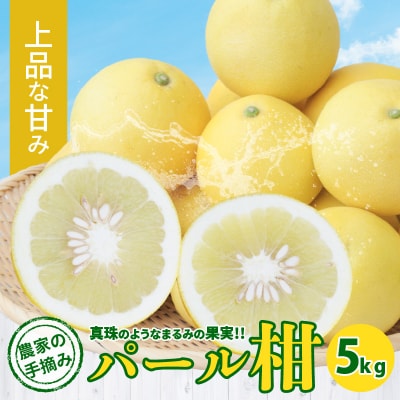 農家の手摘み　パール柑　5kg_S040-031