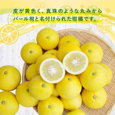 農家の手摘み　パール柑　5kg_S040-031