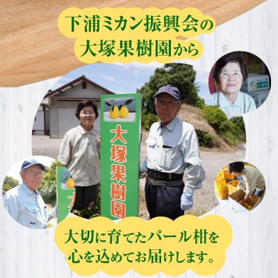 農家の手摘み　パール柑　5kg_S040-031