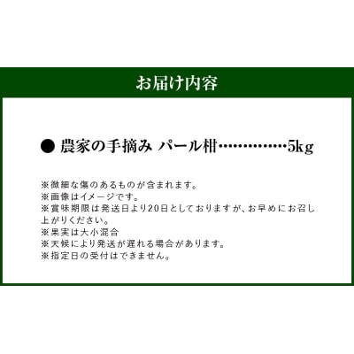 農家の手摘み　パール柑　5kg_S040-031