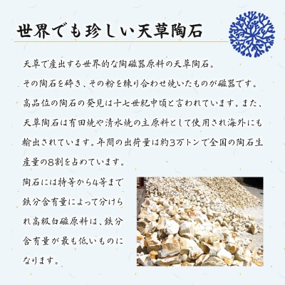天草 高浜焼 楕円カレー皿 1枚(シルバー)_S026-062