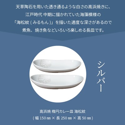 天草 高浜焼 楕円カレー皿 2枚(シルバー)_S026-067